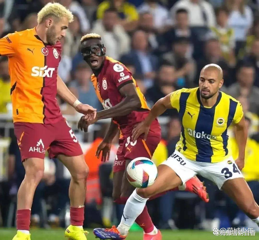  酒井千波激荡最经典的广告 